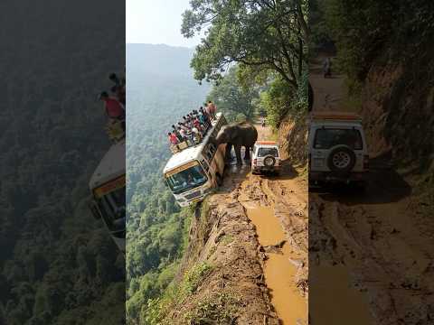 TERRIFYING: Wild Elephant ATTACKS Tourist Bus on Deadly Cliff Edge | AI-Generated