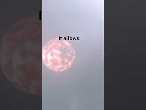 Securing the Future: Understanding the Power of Quantum Cryptography