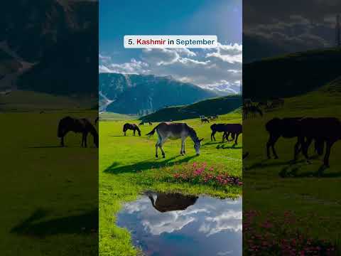 8 Best Places to Visit in India (May to December) 🧳 | Monthly Travel Guide 2025