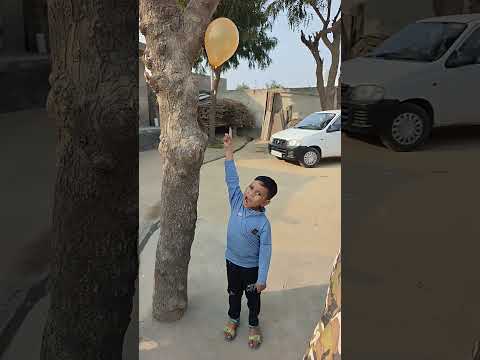 Shantanu ka balloon 🎈 upar atak Gaya #shorts