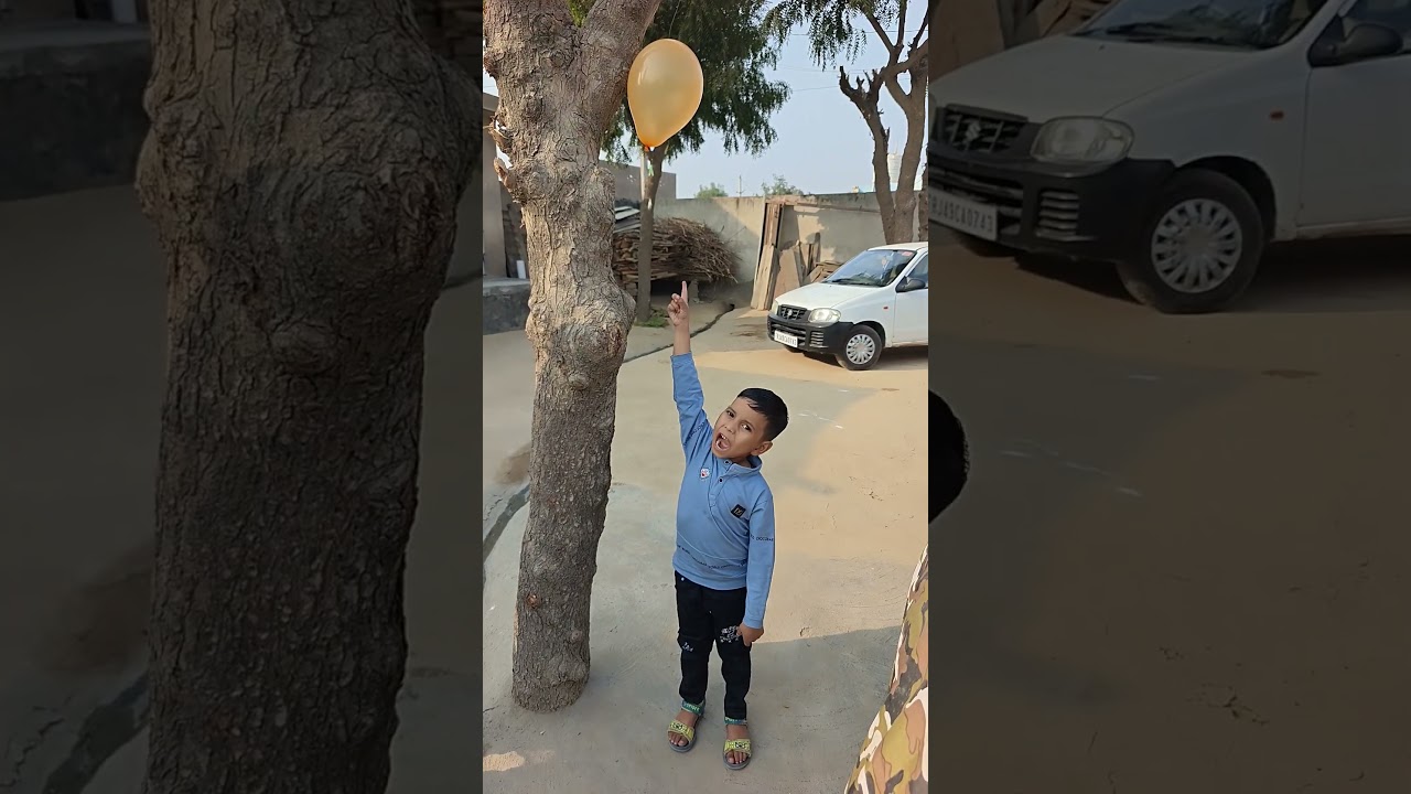 Shantanu's Balloon Gets Stuck Up High π