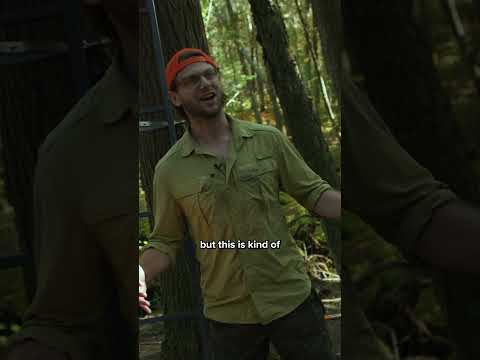 Meeting your new neighbor... #shorts