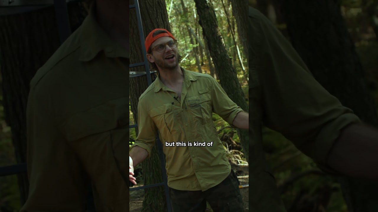 First Encounter with Your New Neighbor! ๐ค #shorts