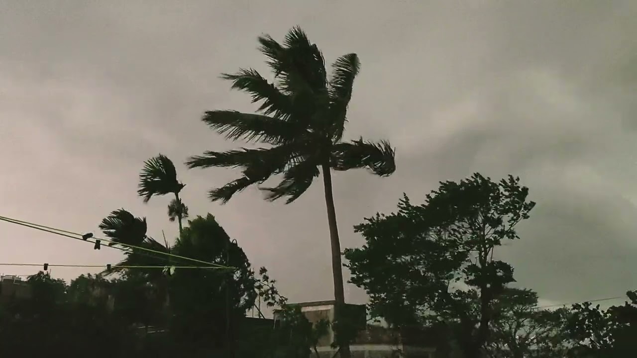 Emono Dine Tare Bola Jay - Unplugged Rabindra Sangeet 🎶