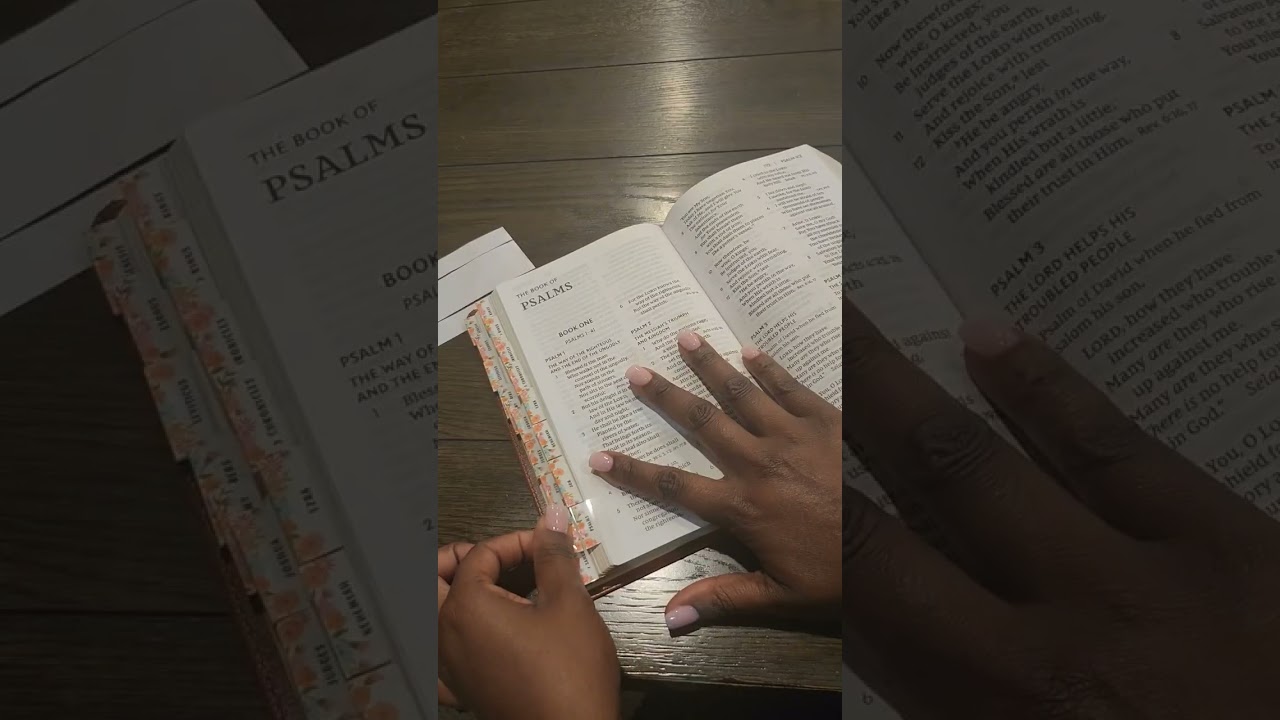 New Everyday Bible NKJV 📖