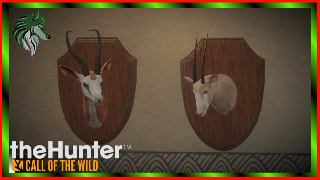 Gold Fur Gemsbok & Diamond Springbok???  theHunter Call Of The Wild