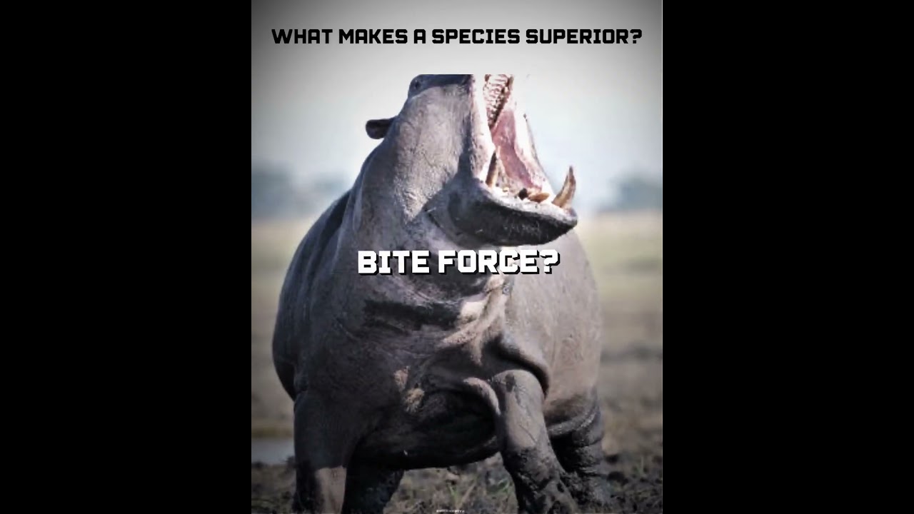 Intelligence & Adaptability in Humans 🧠