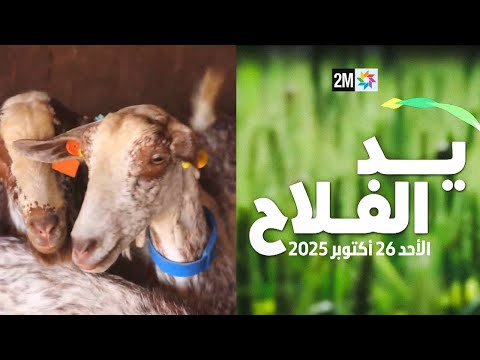 يد الفلاح : الأحد 26 أكتوبر 2025