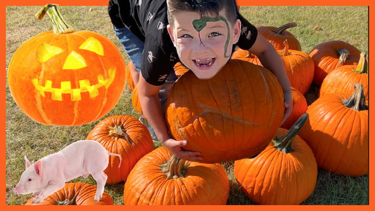 Caleb's Fun Adventure at the Pumpkin Patch 🎃 | Kids' Farm Day with Pumpkins & Petting Zoo