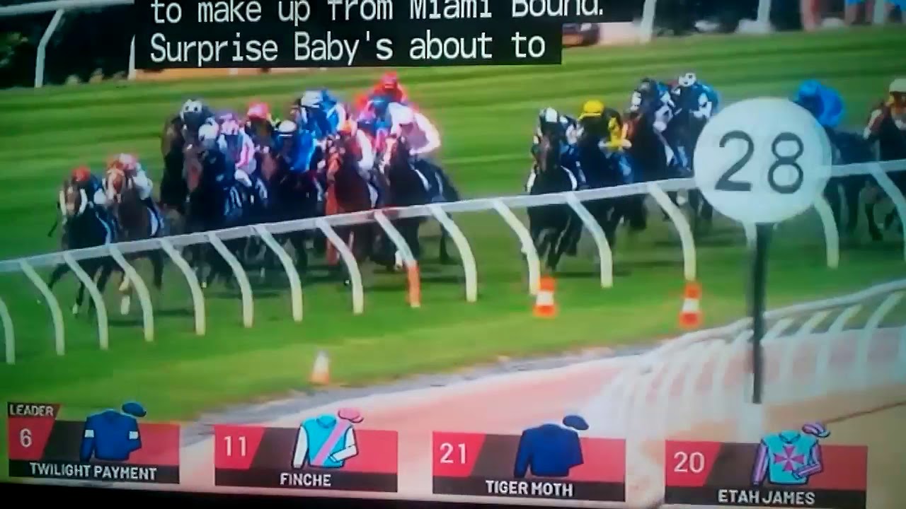 Melbourne Cup 2020 🏆: The Iconic Horse Race