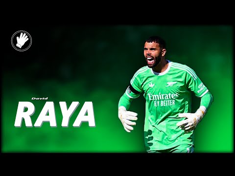 David Raya ◐ The Prince ◑ Unbelievable Saves & Passes 2025/24 ∣ HD