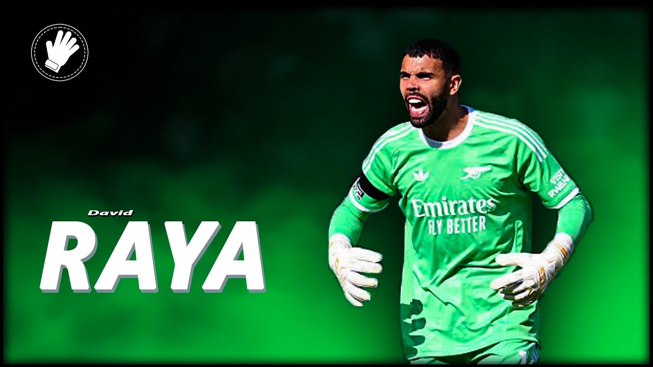 David Raya Highlights 2024/25: Incredible Saves & Skillful Passes β½