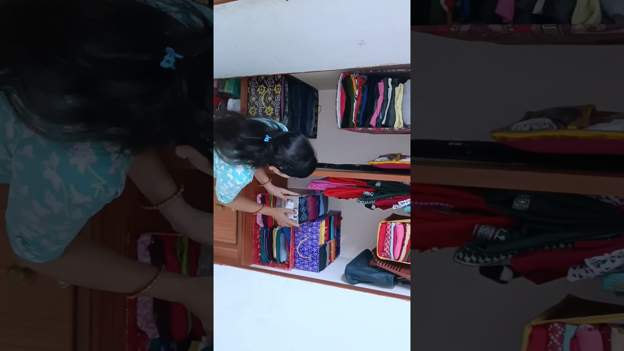 Creative Clothes Organizer Using a Cardboard Box 🧺