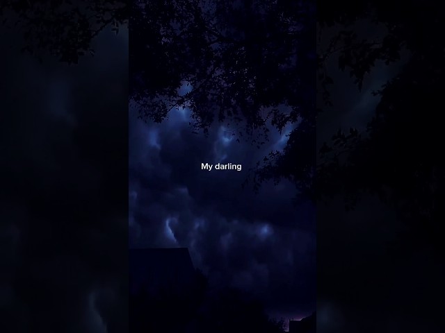 Tag Your Love 💗 | Habibi by Ricky Rich & Aram Mafia – Lyrics & English Status