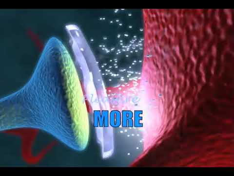 GVG Animation for Brookhaven National Laboratory