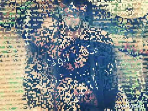 معلومات عن علي ارسان دورو