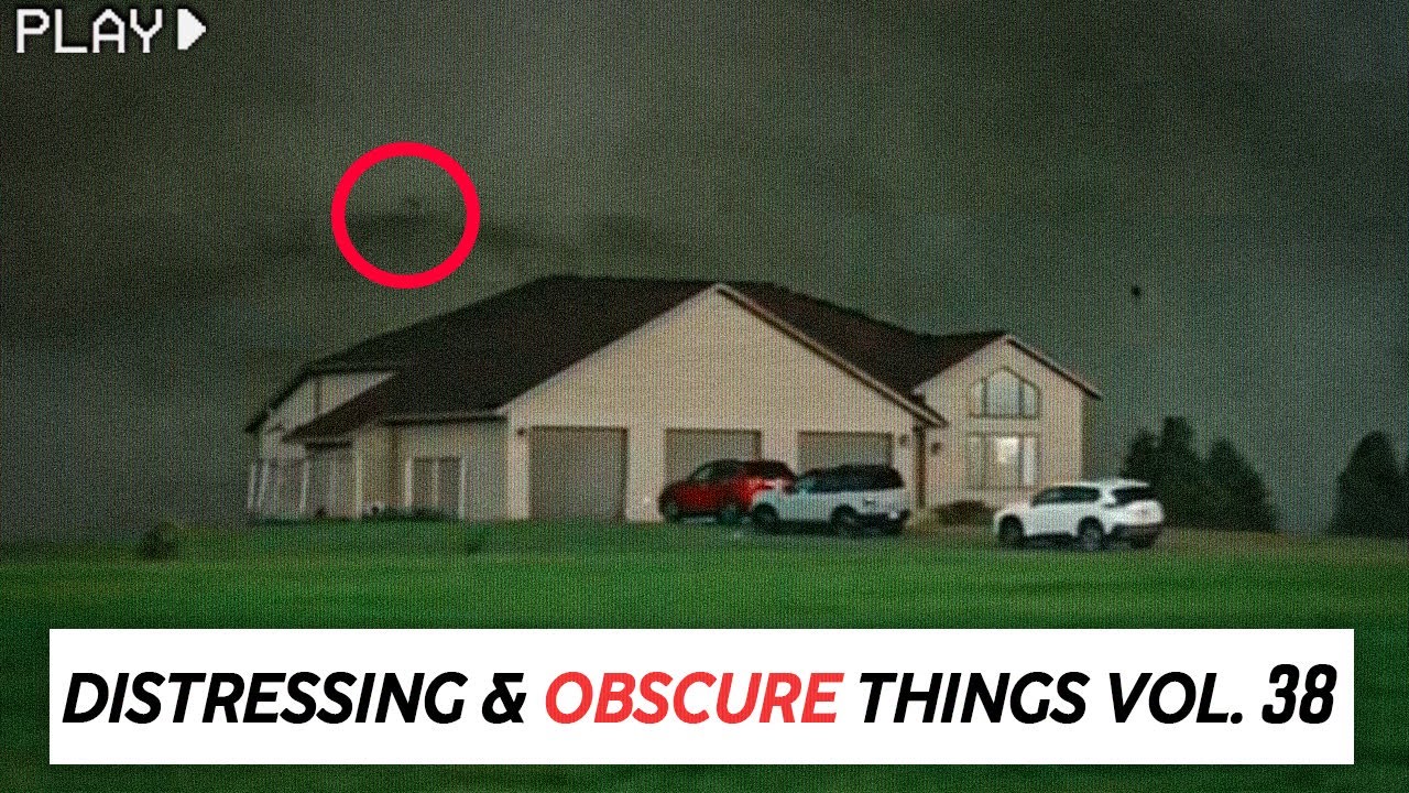 Disturbing Internet Finds [Vol. 38] 😱