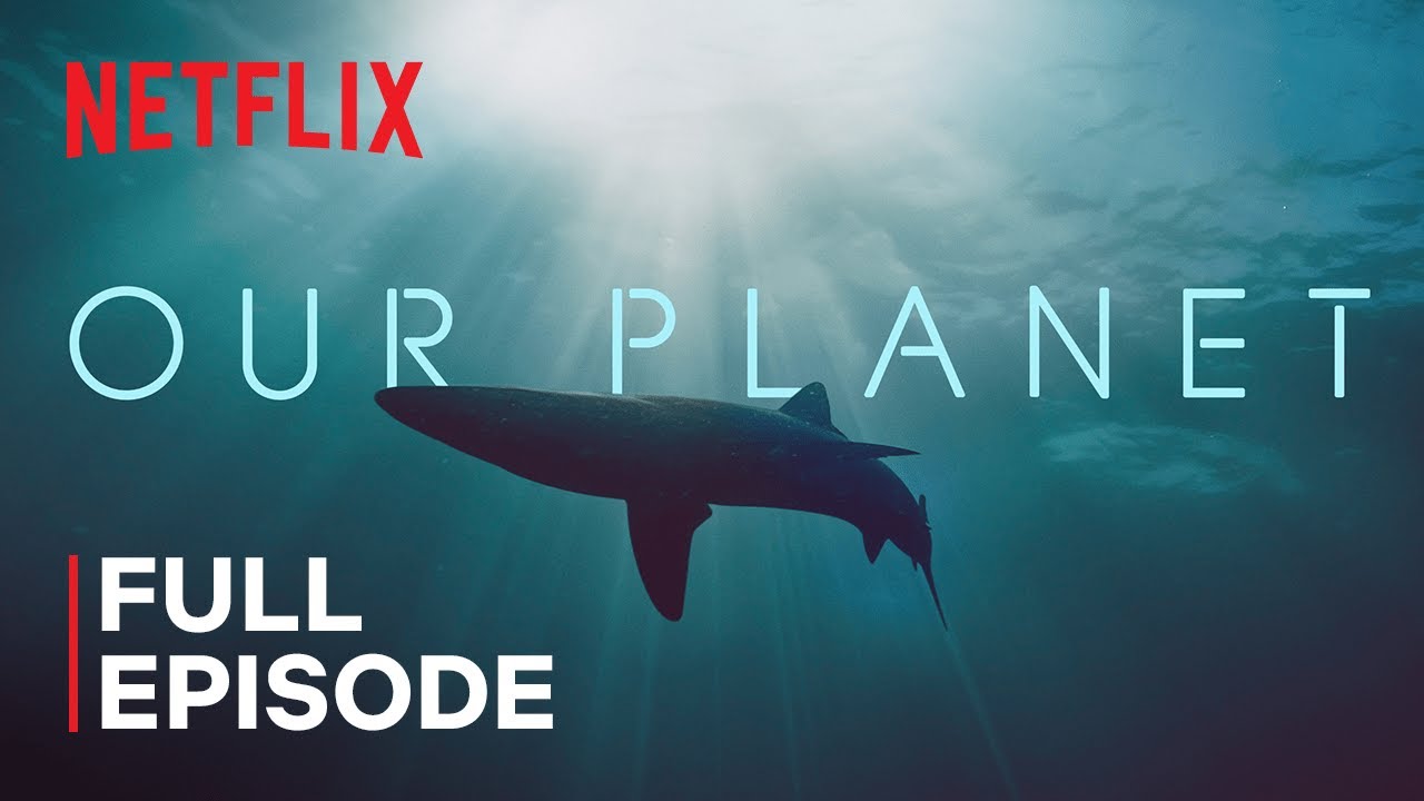 Our Planet: Coastal Seas π | Full Episode on Netflix
