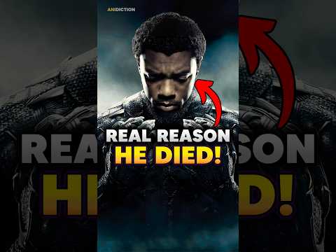 How Did Black Panther Die in the MCU?