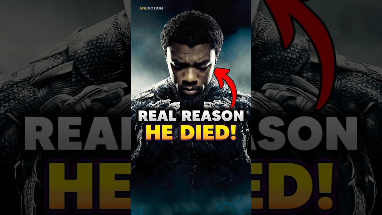 How Did Black Panther Die in the MCU?