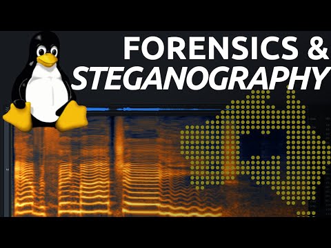 Audio Spectrogram & StegCracker Passwords - DownUnderCTF