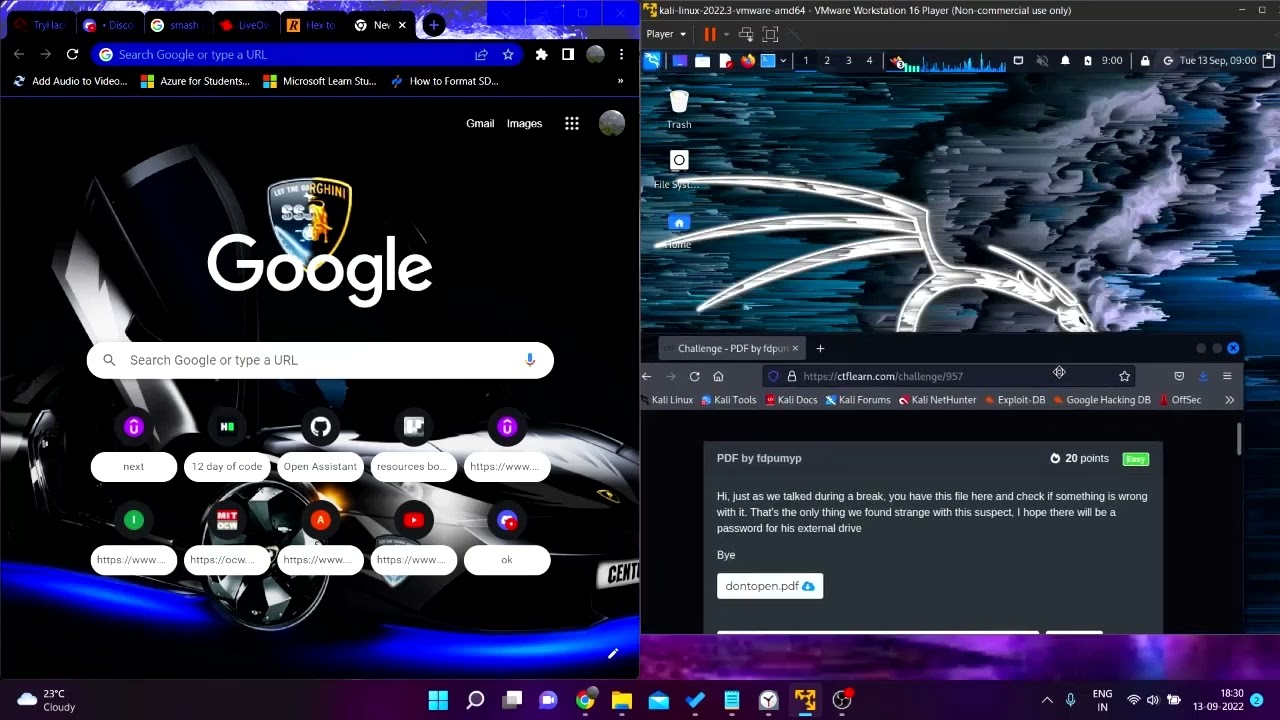 Explore Simple Bof PDF by FDPumyp & Steganography Techniques 🌐