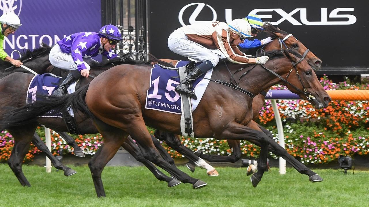 2023 Australian Guineas: Top Thoroughbred Race at Flemington π