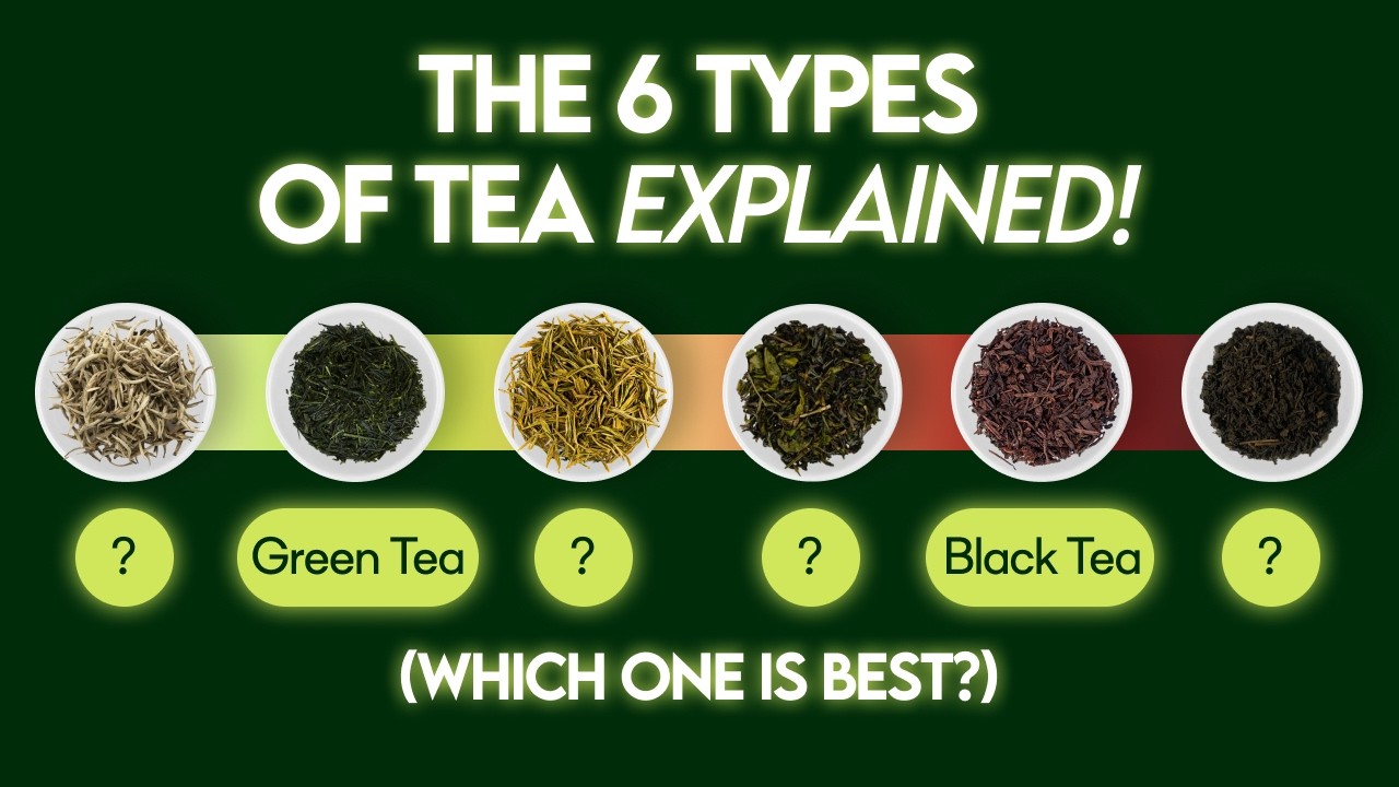6 Types of Tea Explained ๐ต