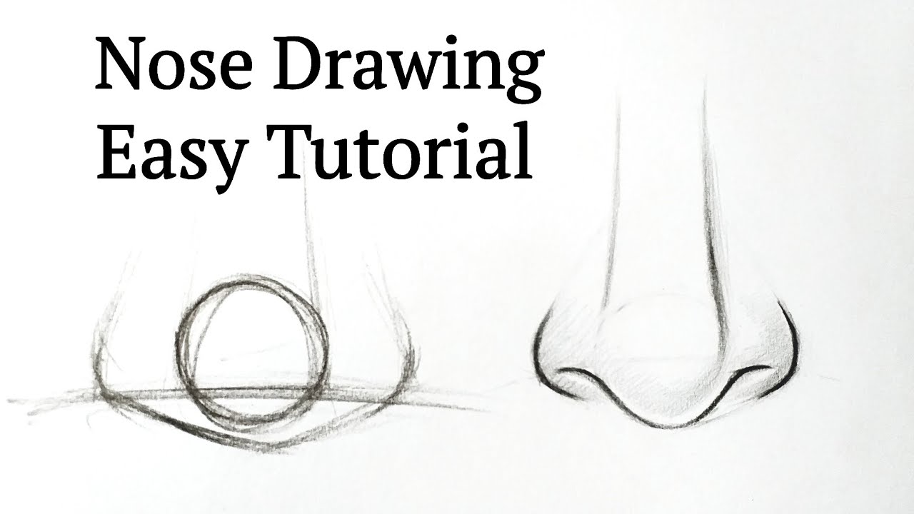 Easy Step-by-Step Nose Drawing for Beginners ✏️