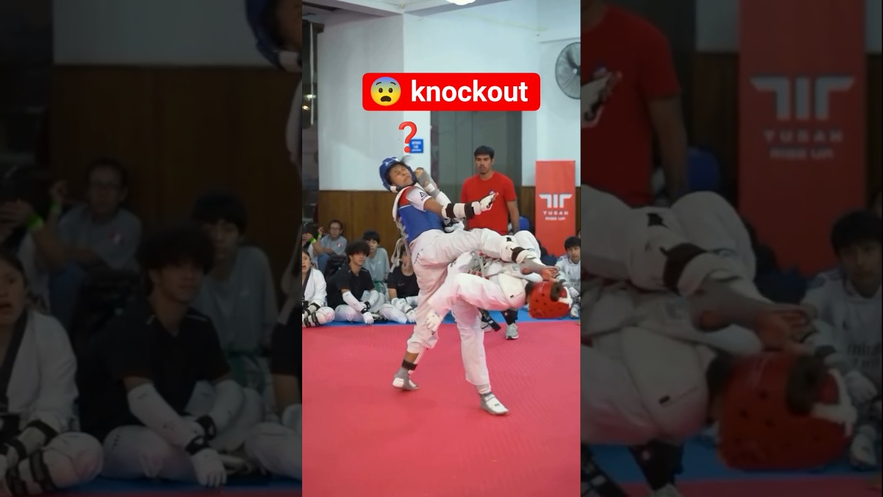 Impressive Taekwondo Knockout Fight