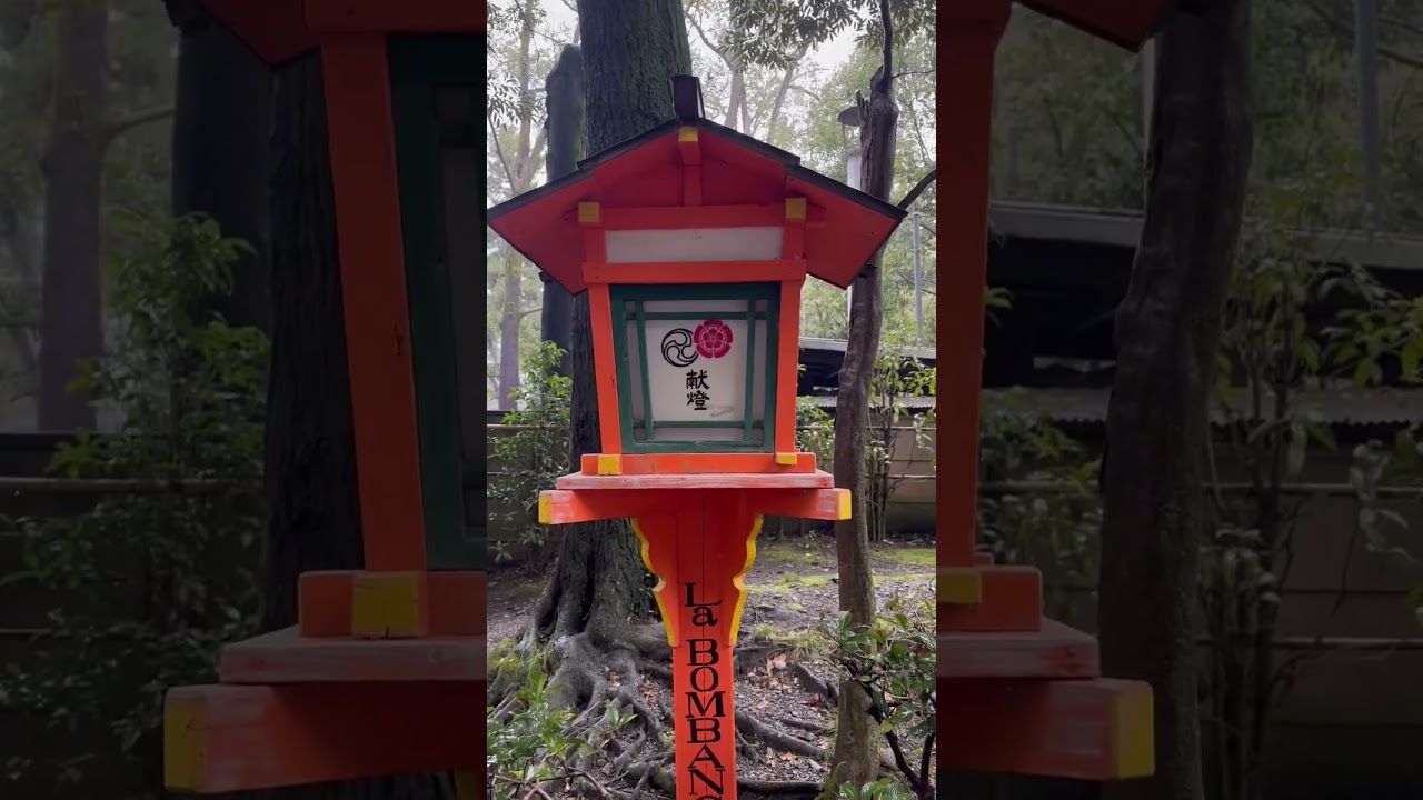 Explore Kyoto in 2024 🇯🇵