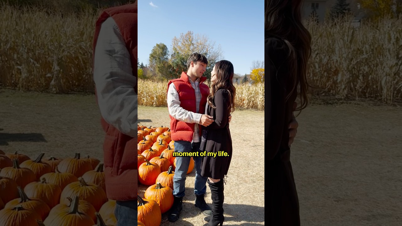 Every Hallmark Movie Be Like... (Part 2) 🎬