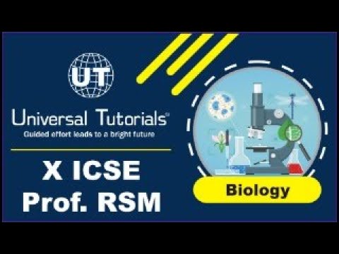 NRL25 - X ICSE BIOLOGY RSM 20/08/2024 - Circulatory System
