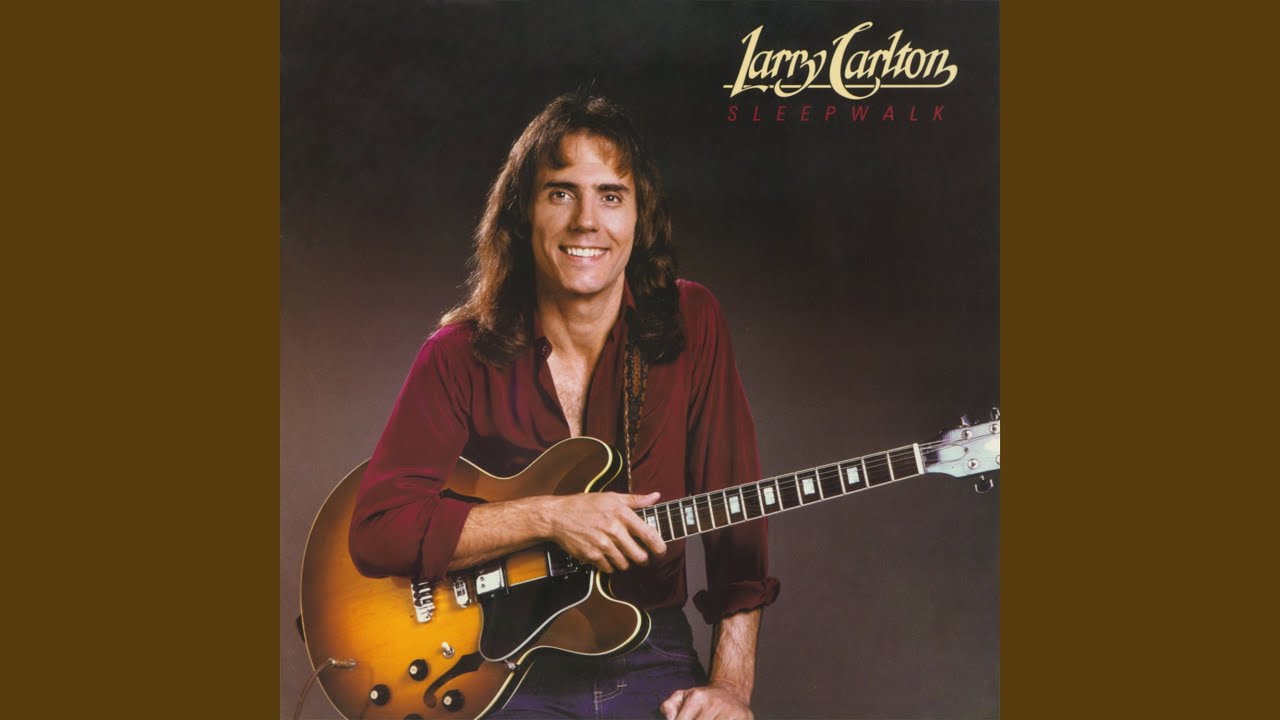 Sleepwalk by Larry Carlton 🎸