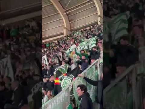 Real Betis Mallorca Beticos #realbetis #betis #futbol #mallorca #beticos #laliga #football