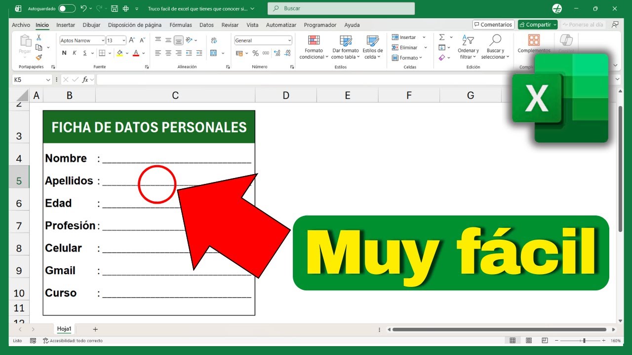 Excel Tip #1: Cómo Crear Líneas con Formato Personalizado Rápido y Fácil ✨