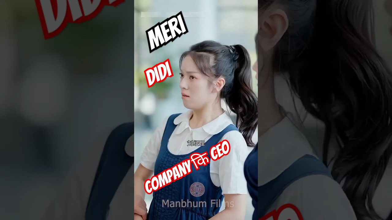 मेरी दीदी बनी कंपनी की CEO 🎉
