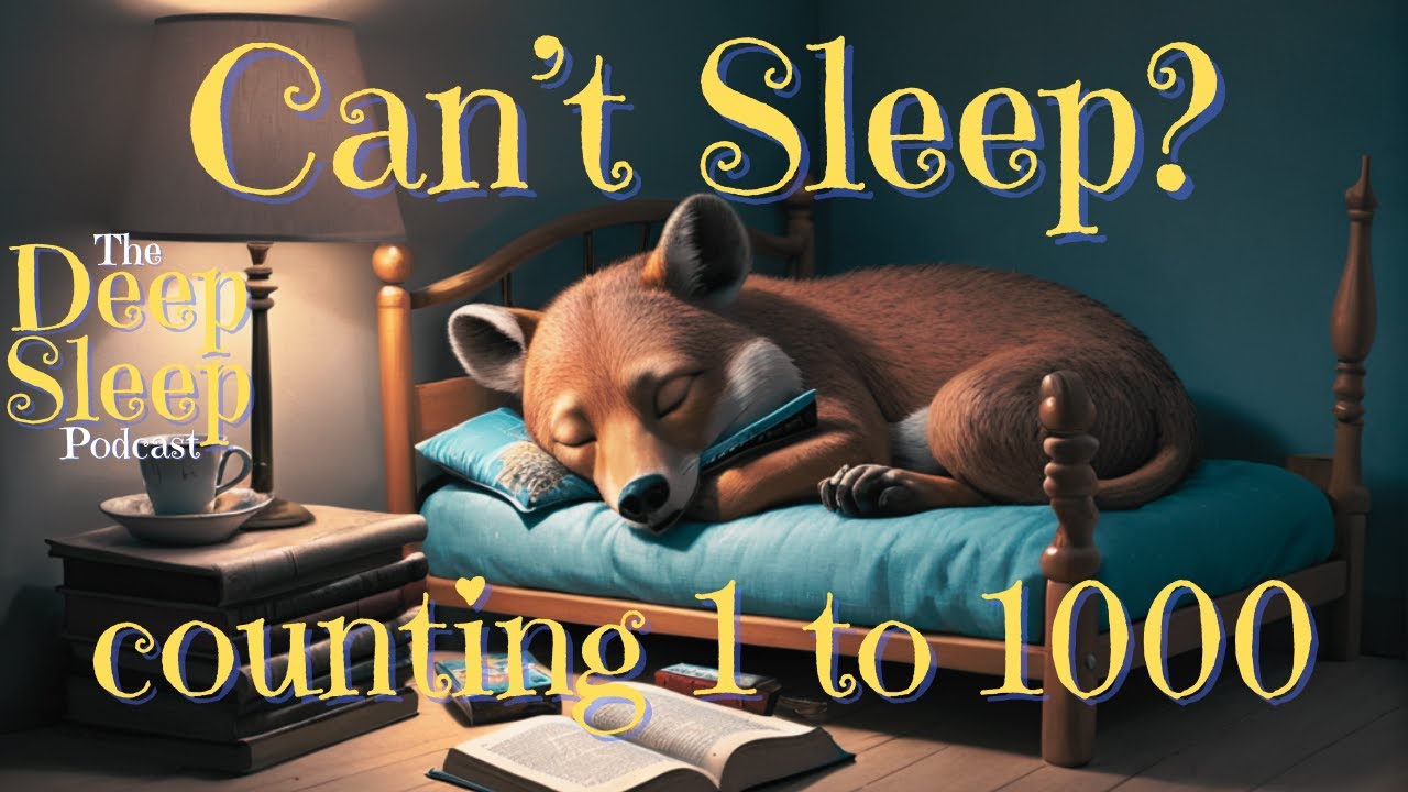 No Ads: Count 1-1000 for Sleep ๐ง๏ธ