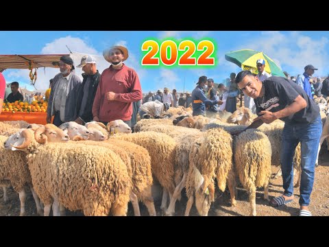 جولة في سوق الغنم شرق المغرب 2022 شاهد أثمنة خروف العيد 😰😰