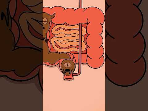 The Animation 18 #animation #shotrs