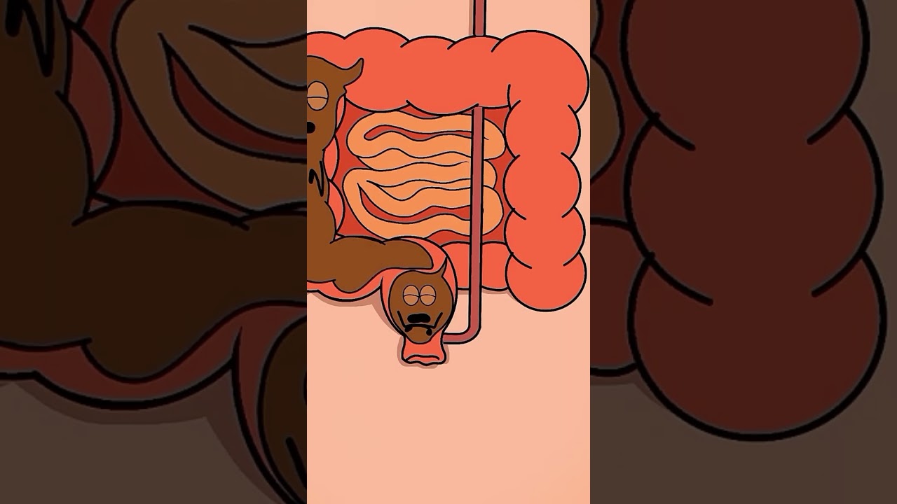 Animation Highlights #18 🎬