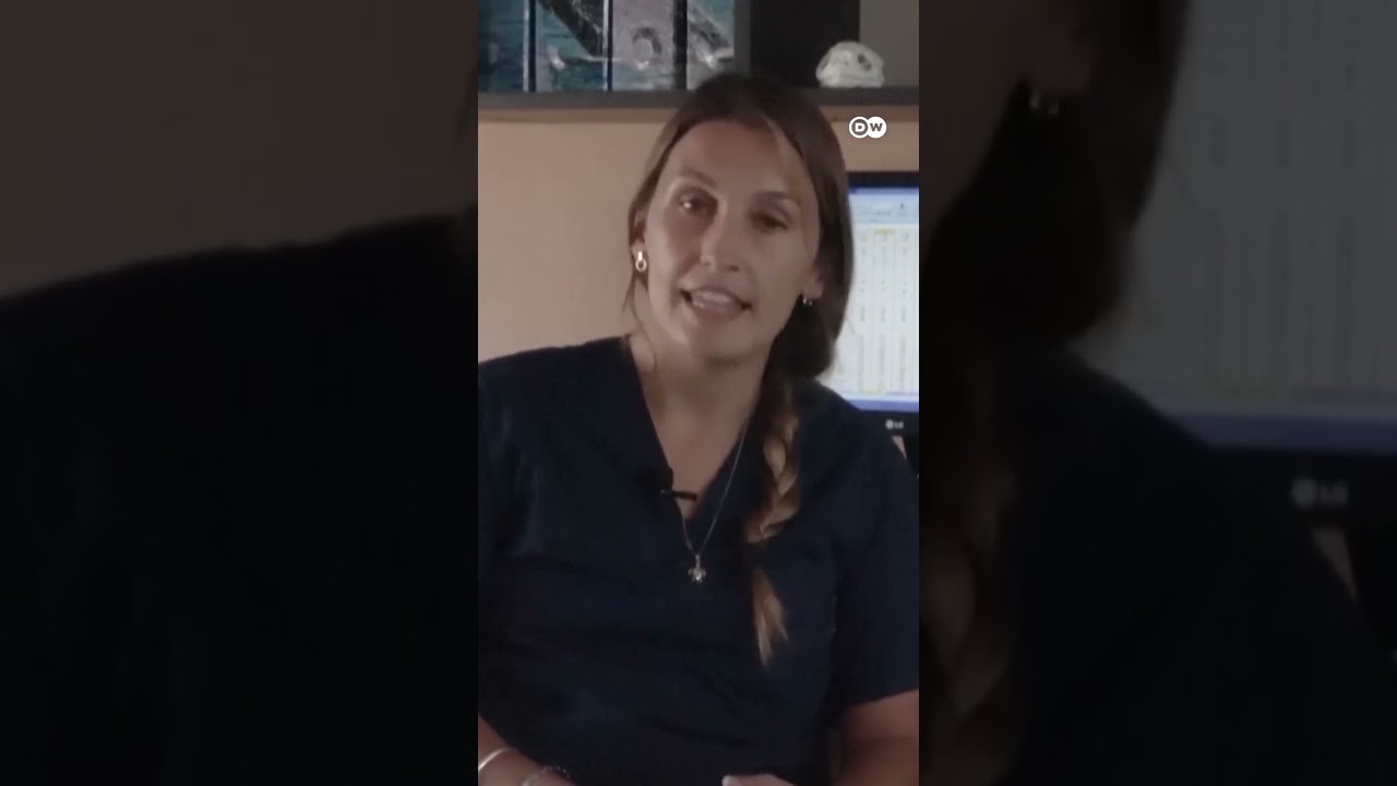 पेंग्विन की वापसी: महीनों की देखभाल के बाद जंगल में छोड़ा गया 🐧