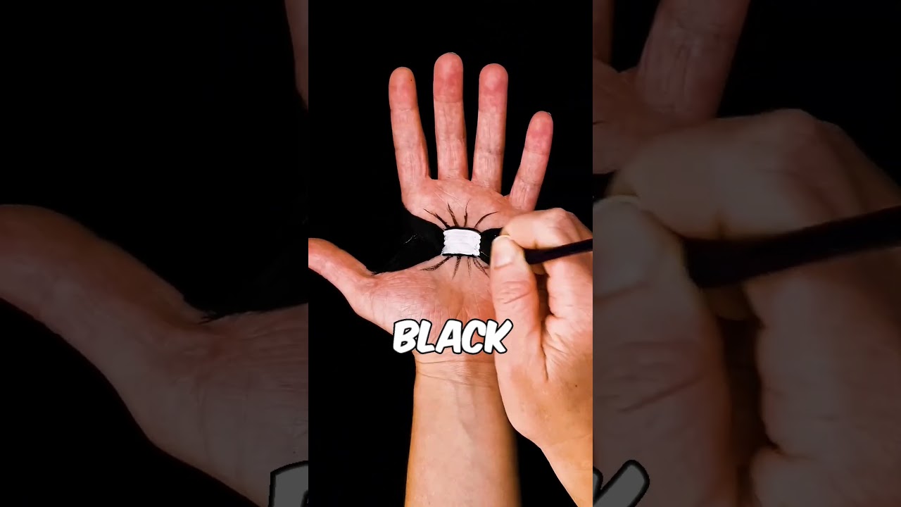 King of Illusions 👑