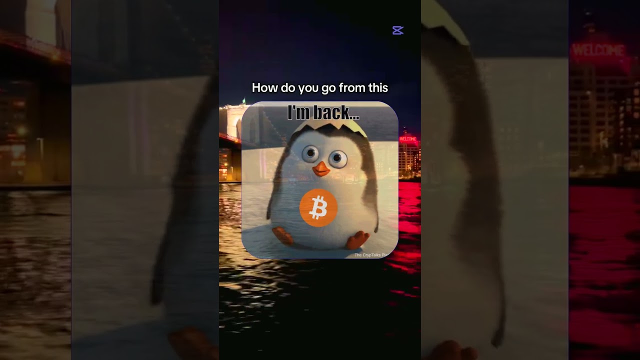 Trumpcoin Pioneer Criticizes DeFi and Blockchain Concerns Amid Campaign 🚀