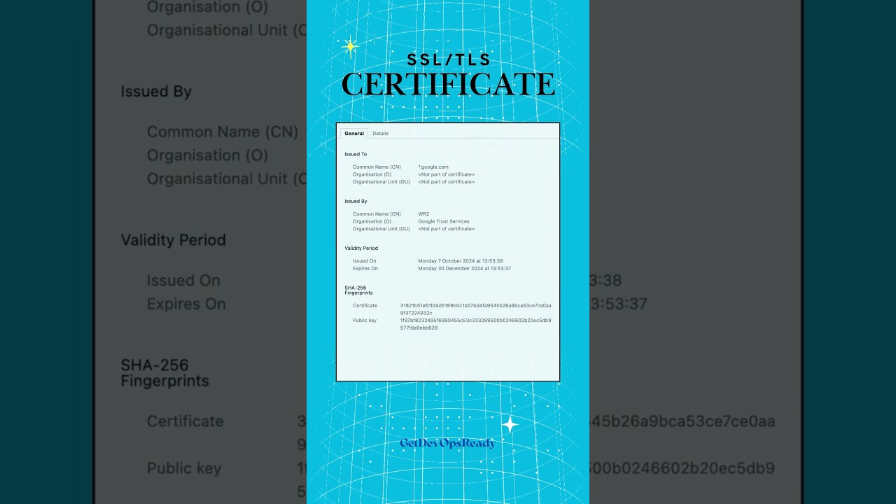 TLS Certificate Explained #tlscertificate