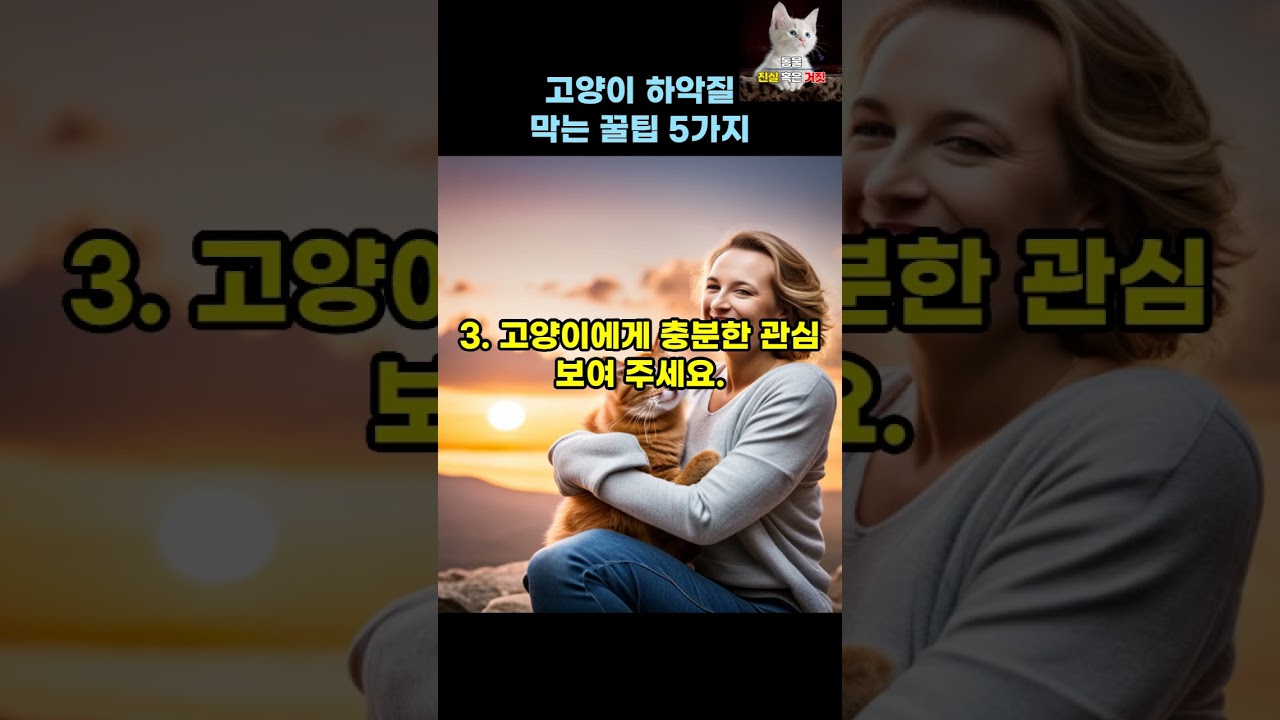 고양이 하악질 해결 5가지 방법 🐱