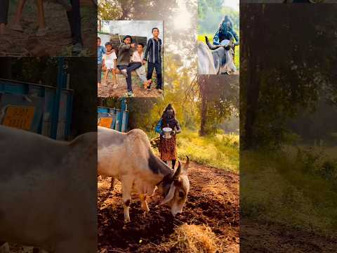 Koi nahi pardes me mera song #mahadev #bholenath #hanuman #trending #shorts #viral #ketul #music