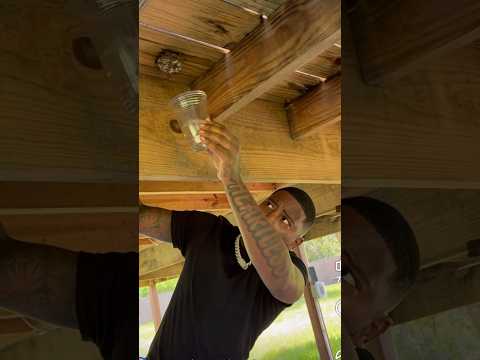 Funny Mike tries the gas method on wasp😂😂😂 #funnymike #hag #funnycam #funny