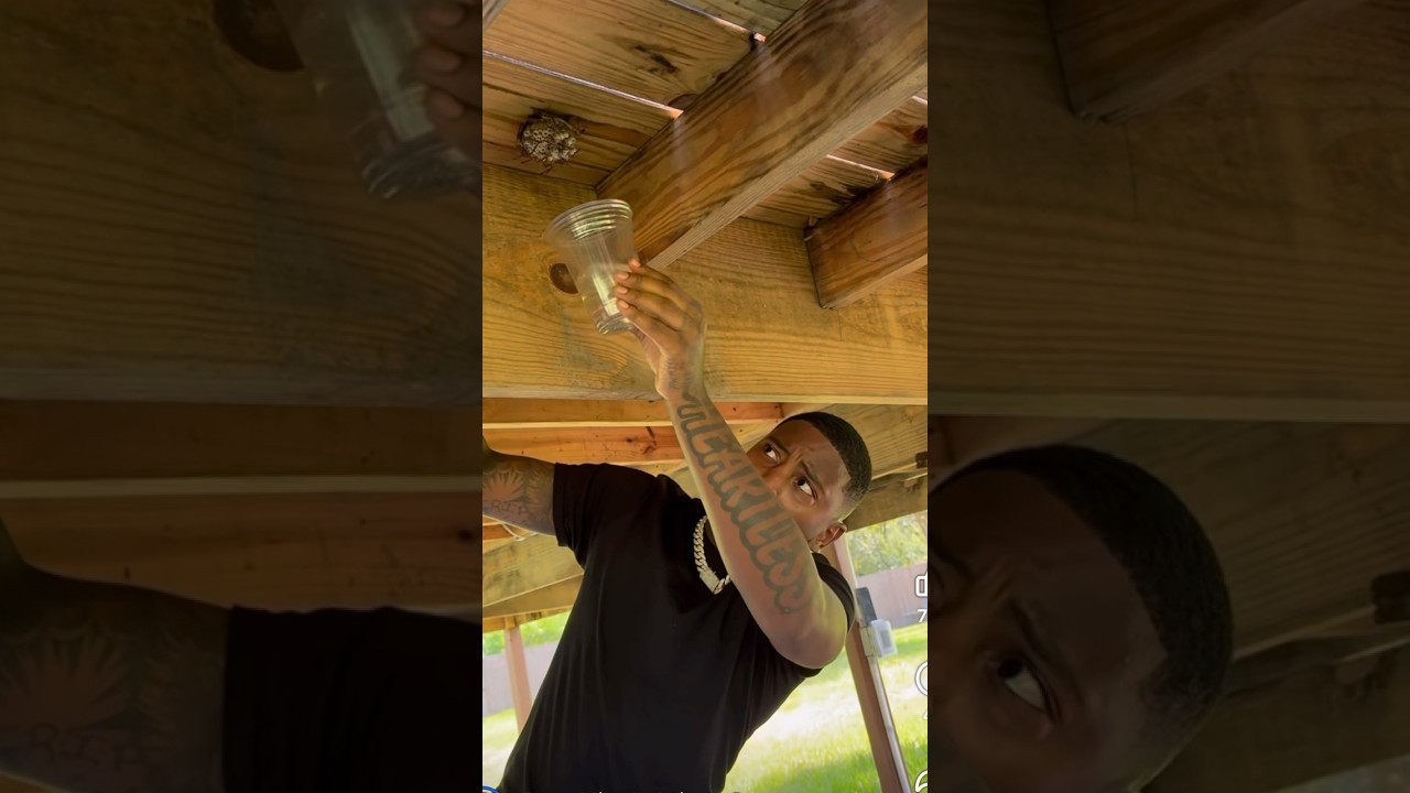 Funny Mike's Hilarious Attempt at the Gas Method on a Wasp 😂