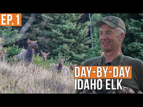 We Found Them! | Idaho Backcountry Elk Hunt (Ep.1)